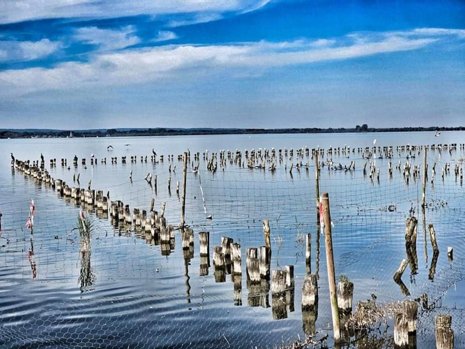 Duemmerliebe Mit Garten, 10 Min. Fusslaeufig Zum See Hude  Luaran gambar